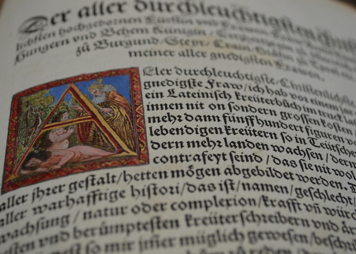 上一次的疫情是什么时候/上一次的疫情是什么