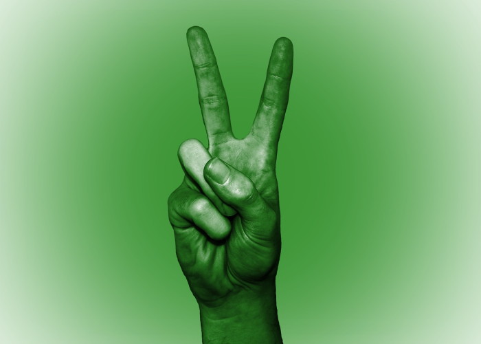 【上次的疫情是什么病毒/上次的疫情是什么病毒引起的】 【上次的疫情是什么病毒/上次的疫情是什么病毒引起的】