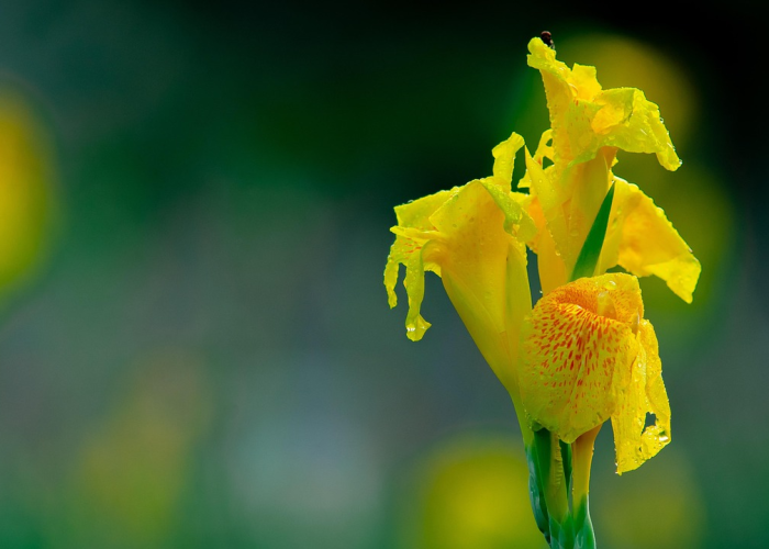 重大通报.“水仙大厅其实是有挂的”原来真的有挂 重大通报.“水仙大厅其实是有挂的”原来真的有挂