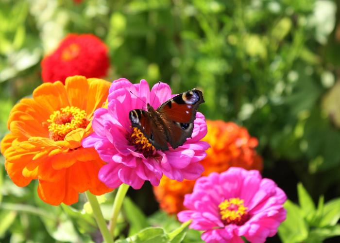 重大通报.“水仙大厅其实是有挂的”原来真的有挂 重大通报.“水仙大厅其实是有挂的”原来真的有挂