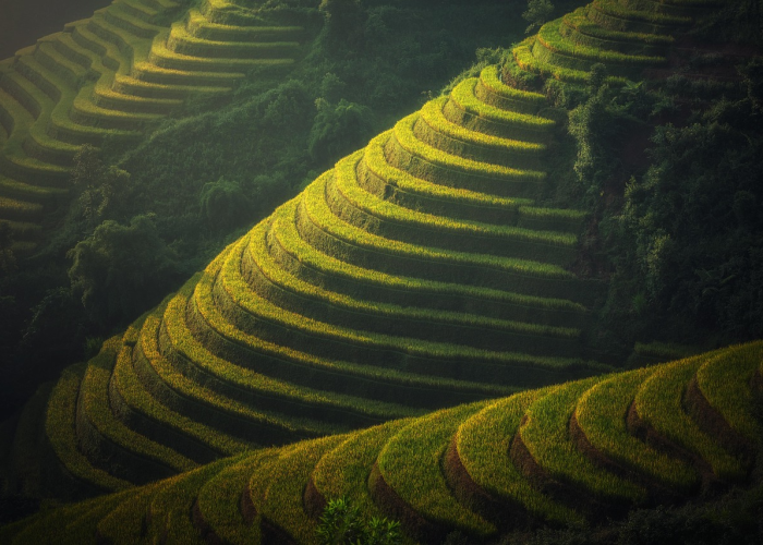 藁城疫情开始时间是几号:藁城疫情开始时间是几号啊