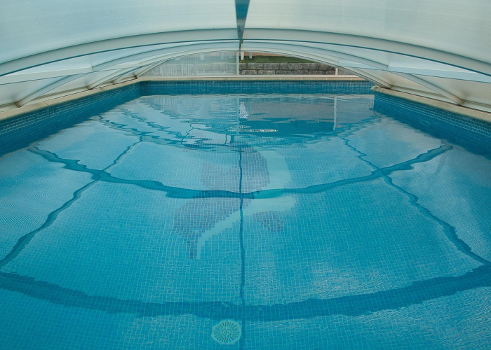 重大通报.“鲸鲨其实是有挂的”原来真的有挂 重大通报.“鲸鲨其实是有挂的”原来真的有挂