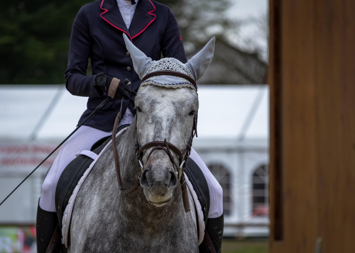 ［揭秘］“西兵互娱牛牛怎么开挂”［原来真的有挂］