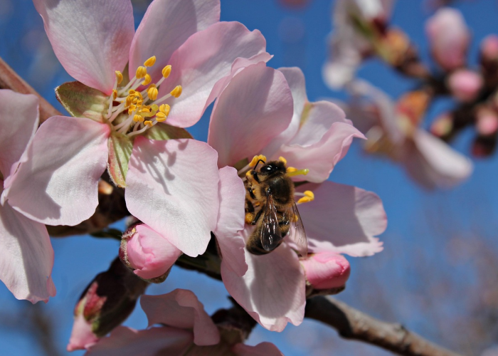 玩家攻略科普“花花生活圈真的有挂吗”［原来真的有挂］