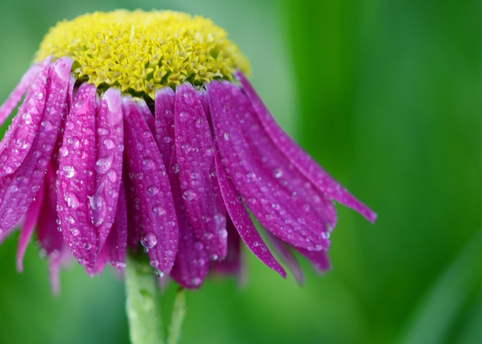 玩家攻略科普“花花生活圈真的有挂吗”［原来真的有挂］