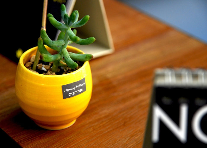 [分析]“加个菜十三水有没有挂”(原来确实是有挂)