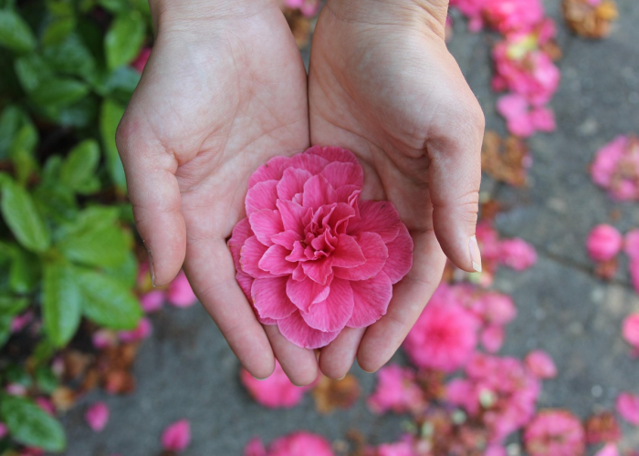 2020年疫情是什么病毒感染/2020年疫情是什么病毒感染的 2020年疫情是什么病毒感染/2020年疫情是什么病毒感染的