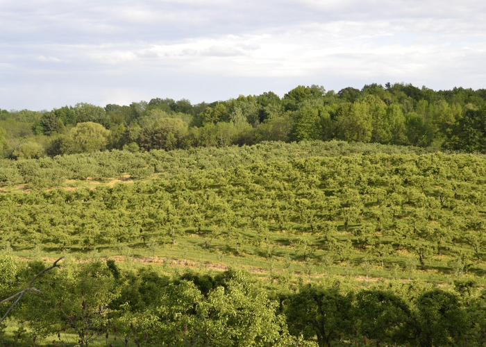 【河北藁城区疫情源头是什么,河北藁城区疫情源头是什么地方】 【河北藁城区疫情源头是什么,河北藁城区疫情源头是什么地方】