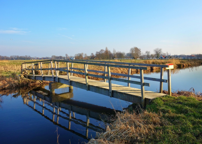 【河北藁城区疫情源头是什么,河北藁城区疫情源头是什么地方】 【河北藁城区疫情源头是什么,河北藁城区疫情源头是什么地方】
