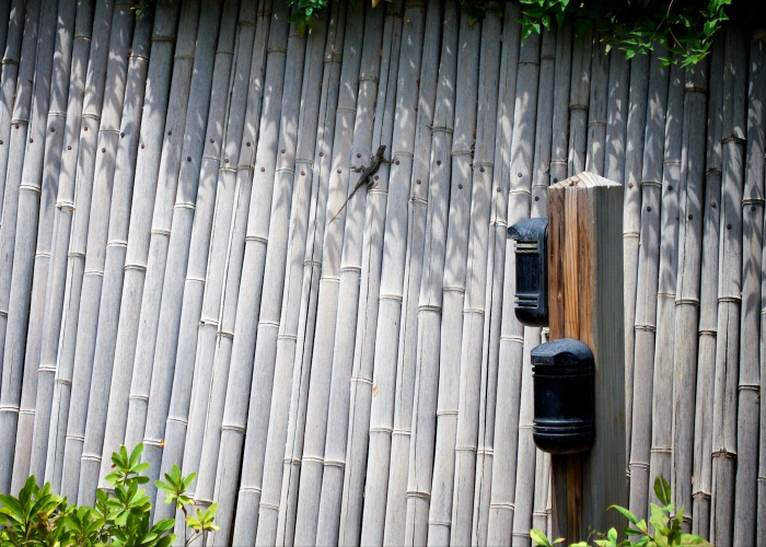 第一攻略.“绿竹能开挂吗,要如何操作开挂辅助”(原来真的可以开挂)