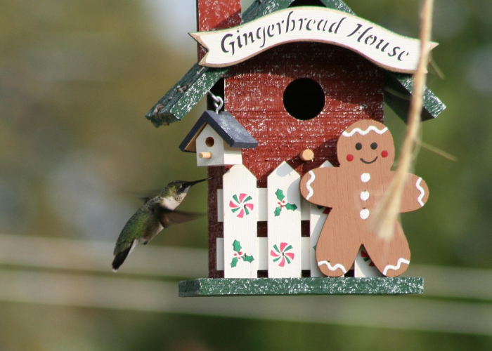 [分析]“棋乐碰胡真的有挂吗”有挂详细开挂教程