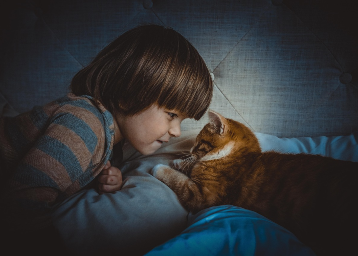 攻略推荐“陕麻圈麻将真的有开挂软件吗”(原来真的可以开挂)