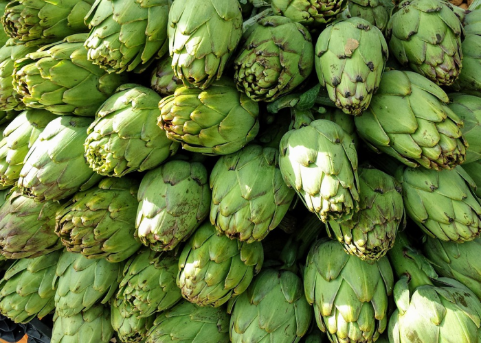 【非洲疫情种类有多少种,非洲疫情种类有多少种病毒】 【非洲疫情种类有多少种,非洲疫情种类有多少种病毒】