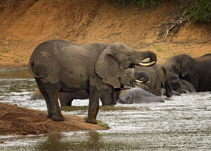 非洲疫情严不严重了/非洲疫情严不严重 非洲疫情严不严重了/非洲疫情严不严重
