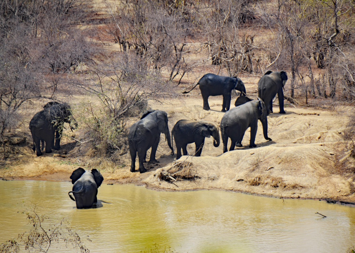非洲国家疫情严重吗/非洲国家疫情严重吗现在
