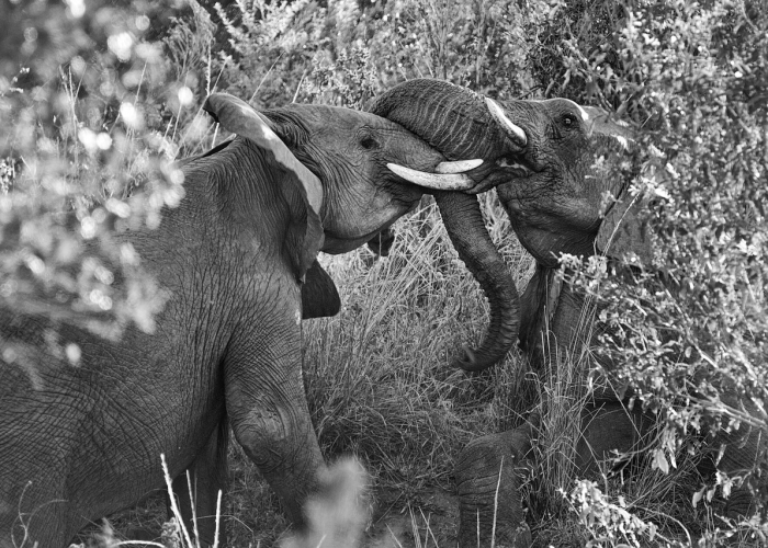 非洲疫情严重不严重呢(非洲疫情严重不严重呢知乎) 非洲疫情严重不严重呢(非洲疫情严重不严重呢知乎)