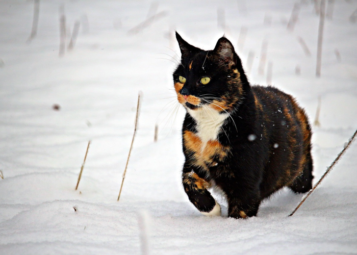 玩家实测“新海狮透视挂辅助器下载”(确实是有挂)-知乎 玩家实测“新海狮透视挂辅助器下载”(确实是有挂)-知乎