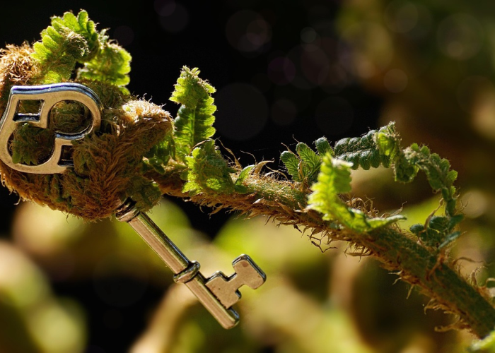 [分享]“绿竹到底有没有挂”(原来确实是有挂)