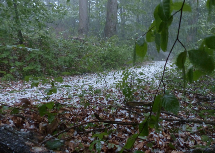 非洲疫情,被低估的风暴与坚韧的堤坝 非洲疫情,被低估的风暴与坚韧的堤坝