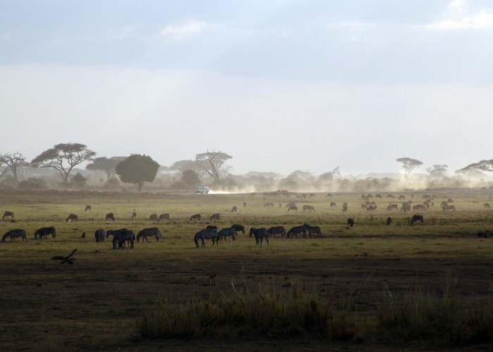 非洲地区疫情怎么样/非洲地区疫情怎么样了 非洲地区疫情怎么样/非洲地区疫情怎么样了