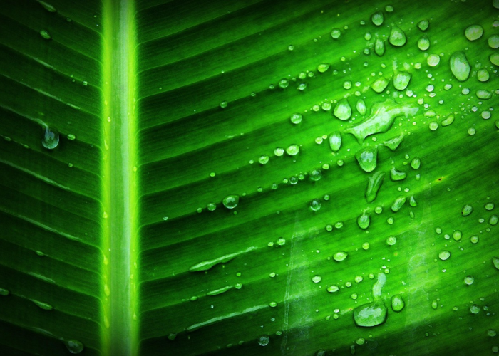 终于出现"“雨碟有挂吗?”详细教程 终于出现"“雨碟有挂吗?”详细教程