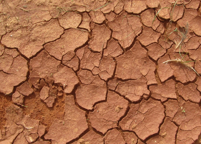 非洲疫情什么情况(非洲疫情什么情况最严重) 非洲疫情什么情况(非洲疫情什么情况最严重)