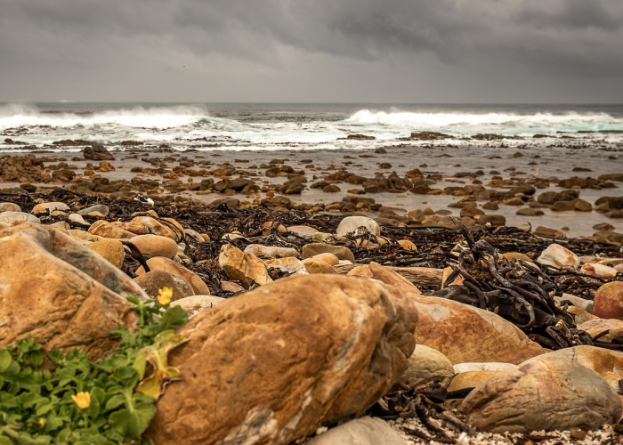 非洲疫情,何时才能拨云见日? 非洲疫情,何时才能拨云见日?