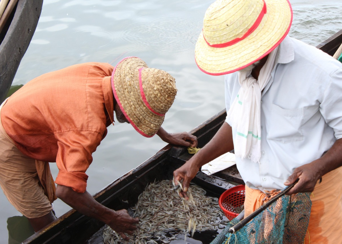 非洲疫情新病毒(非洲疫情新病毒最新消息) 非洲疫情新病毒(非洲疫情新病毒最新消息)