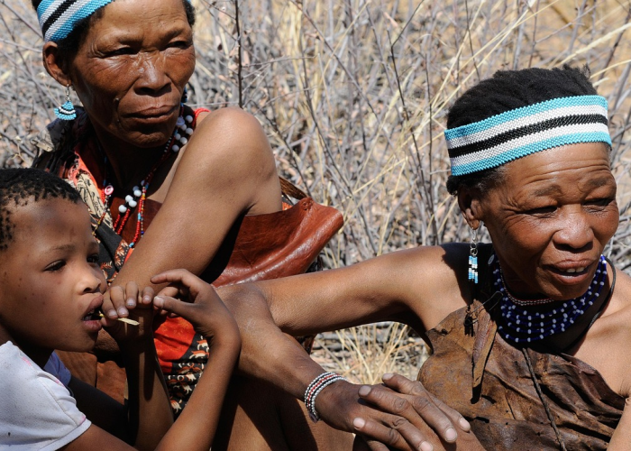 【非洲疫情是什么病毒毒株引起的,非洲疫情是什么病毒毒株引起的呢】 【非洲疫情是什么病毒毒株引起的,非洲疫情是什么病毒毒株引起的呢】