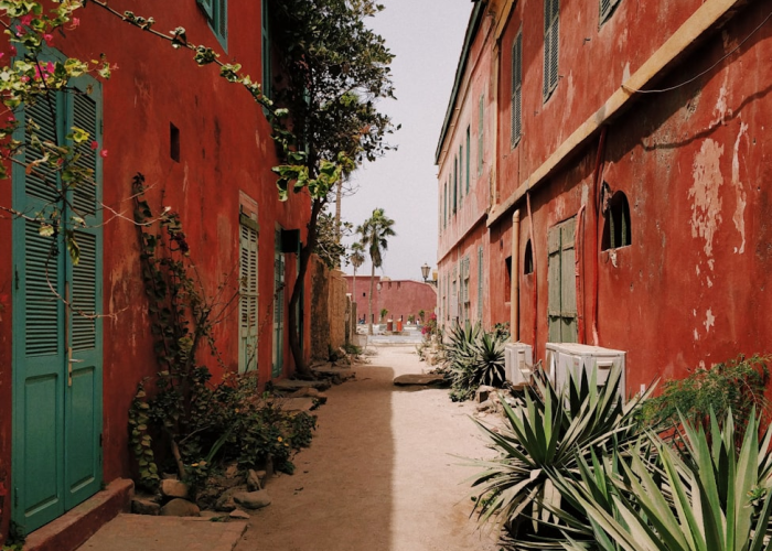 非洲的疫情都有哪些城市/非洲的疫情都有哪些 非洲的疫情都有哪些城市/非洲的疫情都有哪些