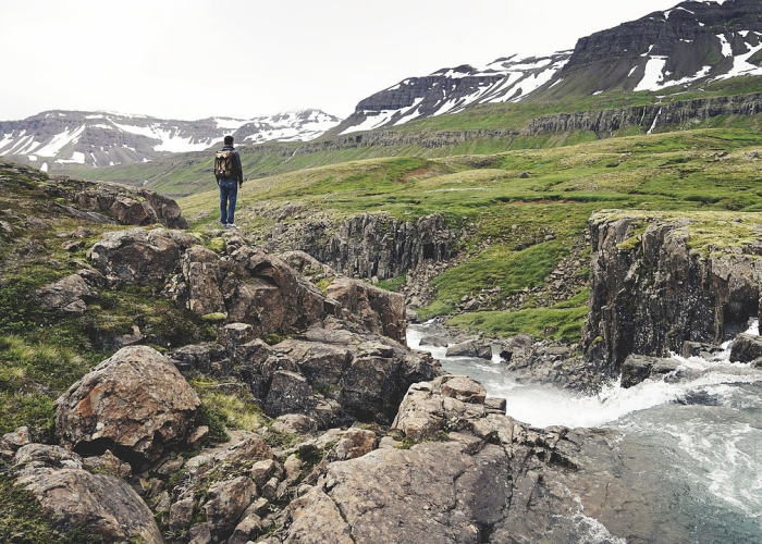 知道“蜀道山有挂没”开挂神器-包教包会 知道“蜀道山有挂没”开挂神器-包教包会