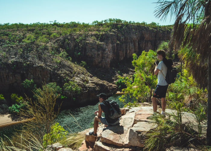知道“蜀道山有挂没”开挂神器-包教包会 知道“蜀道山有挂没”开挂神器-包教包会