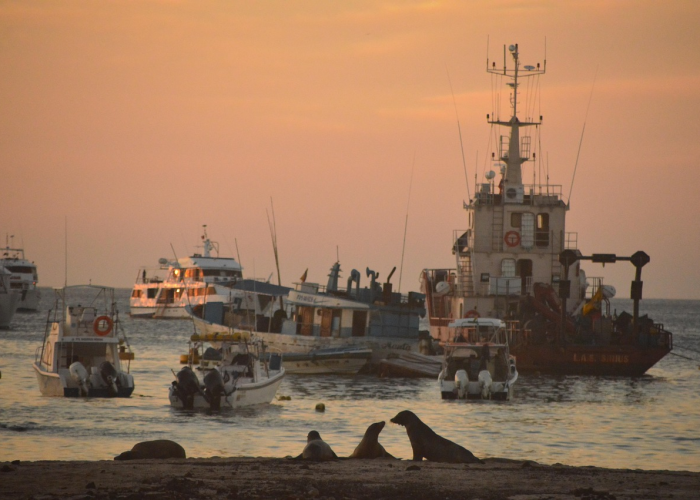 【三年疫情是哪三年新疆最严重的,三年疫情是哪三年新疆最严重的疫情】 【三年疫情是哪三年新疆最严重的,三年疫情是哪三年新疆最严重的疫情】