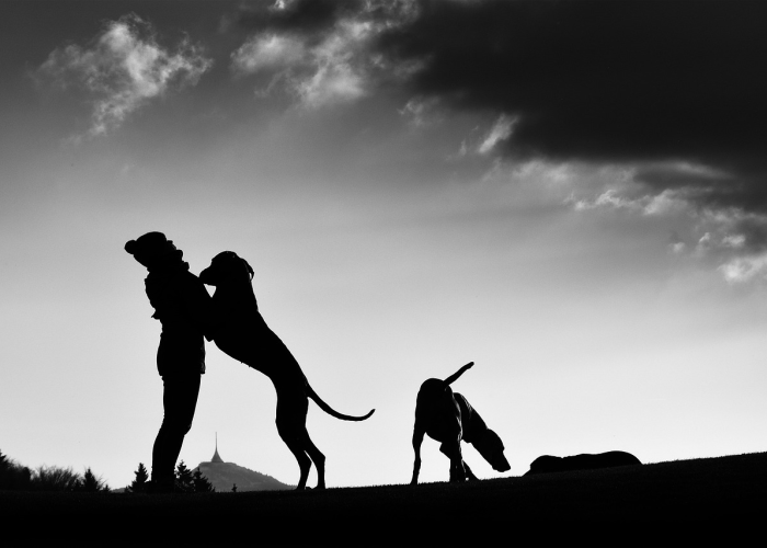 三年疫情两年灾(三年疫情两年灾难) 三年疫情两年灾(三年疫情两年灾难)