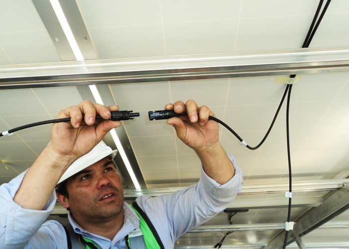 3年疫情(3年疫情是什么病毒) 3年疫情(3年疫情是什么病毒)