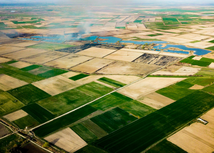 【武汉的疫情是什么时候开始发生的,武汉的疫情是什么时候开始发生的呢】 【武汉的疫情是什么时候开始发生的,武汉的疫情是什么时候开始发生的呢】