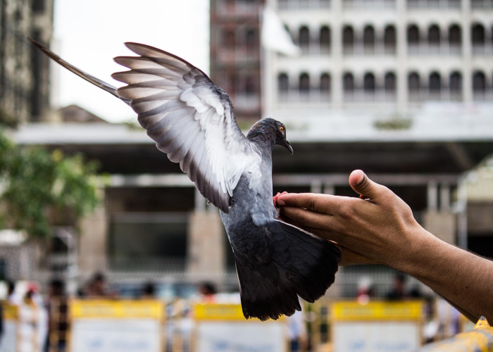 疫情哪一年最严重:疫情哪一年最严重?
