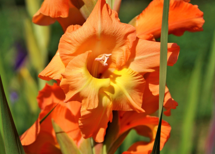 重大通报.“桃花庄有没有挂”(确实真的有挂) 重大通报.“桃花庄有没有挂”(确实真的有挂)