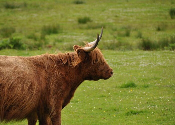 玩家游戏玩法“新好游牛牛真的有挂”其实有挂 玩家游戏玩法“新好游牛牛真的有挂”其实有挂