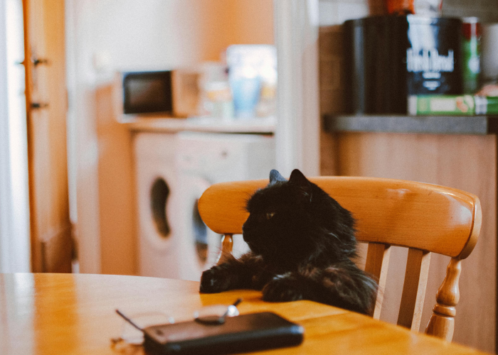 ［科普］“老表逗娱碰胡怎么装挂”［太坑了果然有挂］