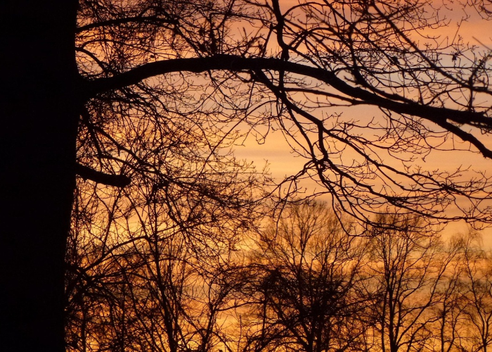 [推荐]“渔舟唱晚真的有挂吗”(原来确实是有挂)