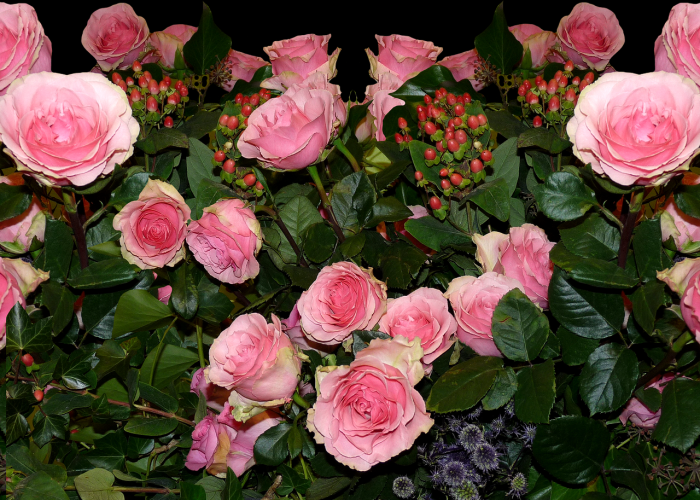 经验总结.“开心武汉花怎么看别人有没有用挂”(确实真的有挂)