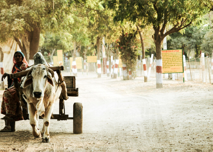 玩家必备攻略“新道游牛牛其实的确有透视挂”(真的有挂)