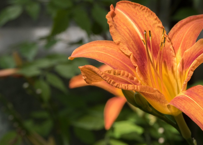 我来教教您“新圣游炸/金/花开挂器”［原来真的有挂］