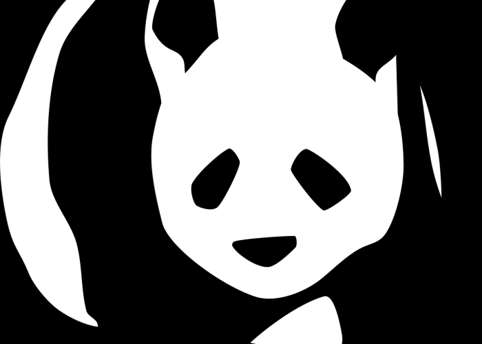 [推荐]“大金牙麻将真的有挂吗”(确实真的有挂)