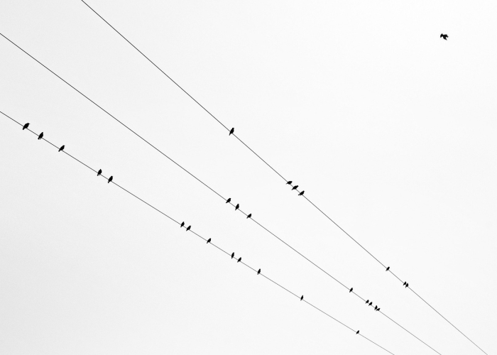 疫情时间线梳理（疫情时间线梳理图）