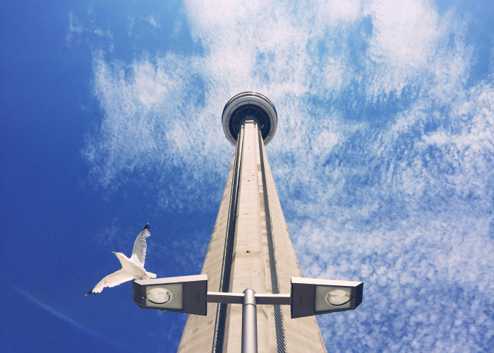 疫情正式开始时间/疫情正式开始时间是哪一天