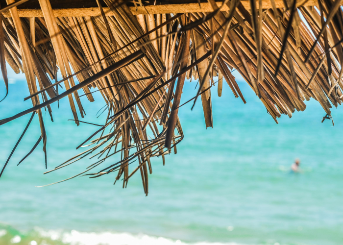 [推荐]“新猴王有挂吗”原来可以开挂