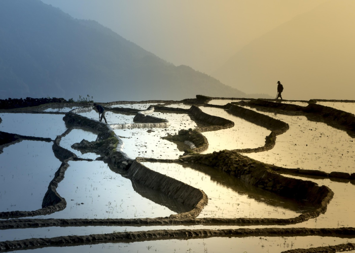 【疫情开始于几月几日爆发/疫情开始于几月几日爆发的】 【疫情开始于几月几日爆发/疫情开始于几月几日爆发的】