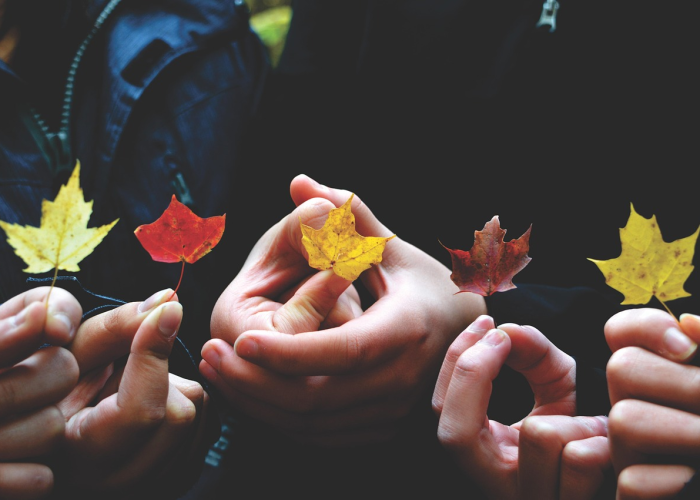 疫情从开始到结束一共多少天了/疫情从开始到结束一共多少天 疫情从开始到结束一共多少天了/疫情从开始到结束一共多少天